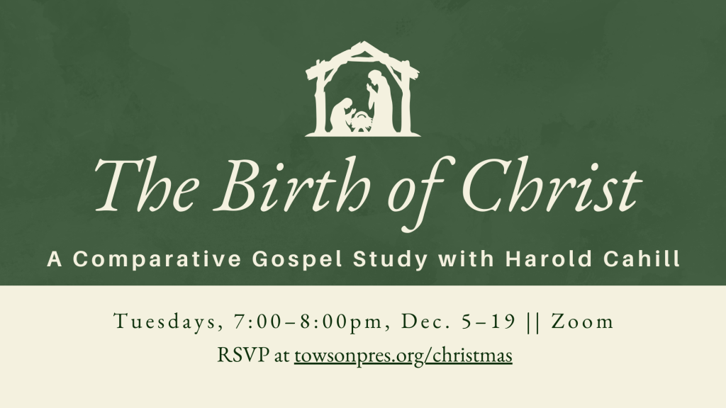 The Birth of Christ (1)